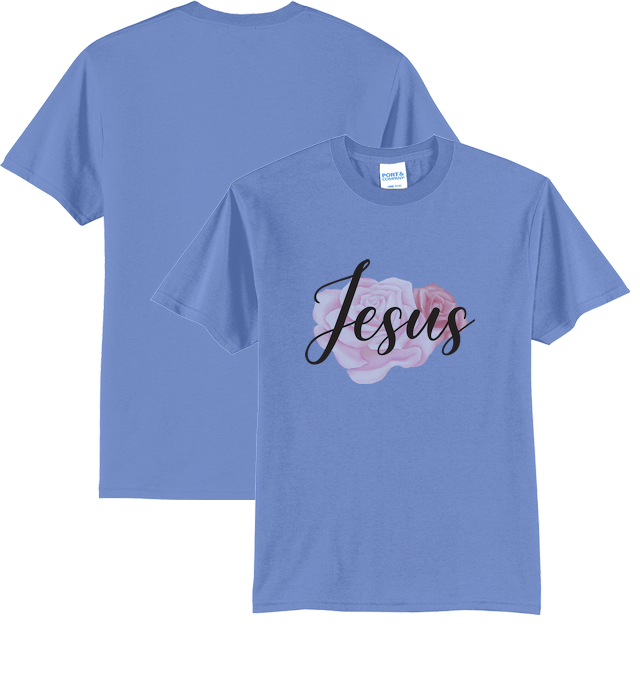 Preview Carolina Blue