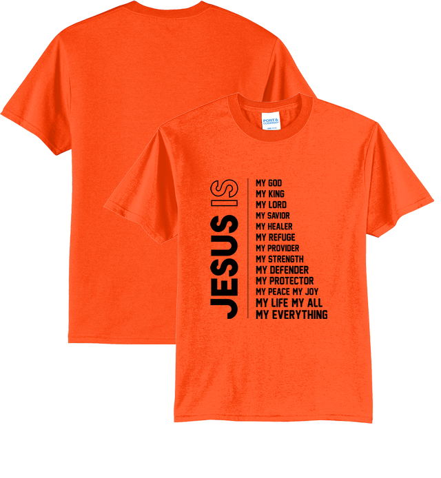 Preview Safety Orange